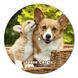 Vinyl Record Decor Corgis 12" UF-Decor-Corgis-1 photo 1