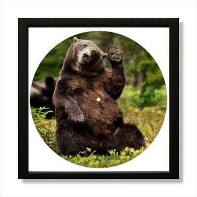 Vinyl Record Decor in a Wooden Frame BEAR 14" UF-Frame-BEAR-1 photo