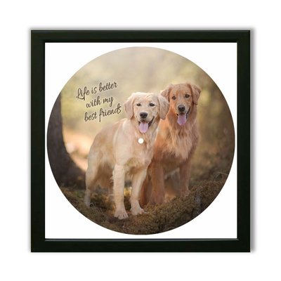 Vinyl Record Decor in a Wooden Frame Golden Retriever 14" UF-Frame-Golden Retriever-1 photo