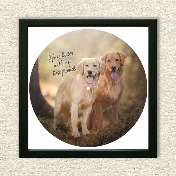 Vinyl Record Decor in a Wooden Frame Golden Retriever 14" UF-Frame-Golden Retriever-1 photo