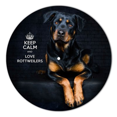 Vinyl Record Decor Rottweilers 12" UF-Decor-Rottweilers-1 photo