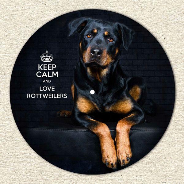 Vinyl Record Decor Rottweilers 12" UF-Decor-Rottweilers-1 photo