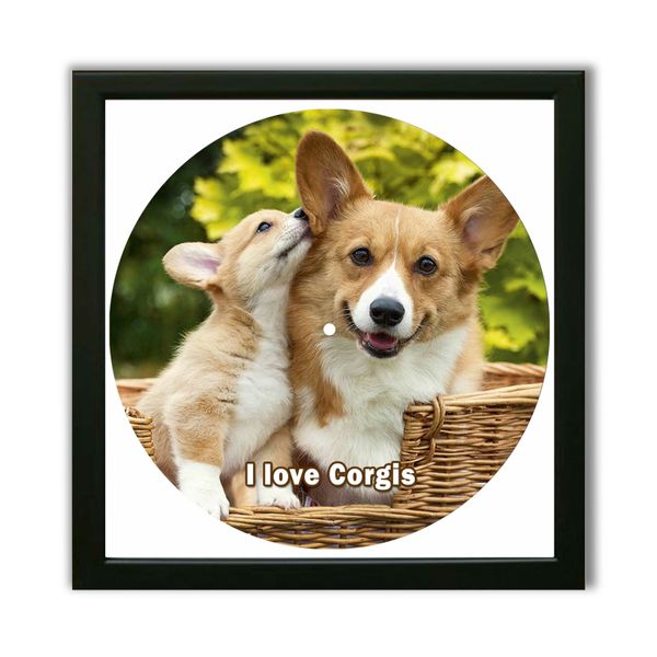 Vinyl Record Decor in a Wooden Frame Corgis 14" UF-Frame-Corgis-1 photo