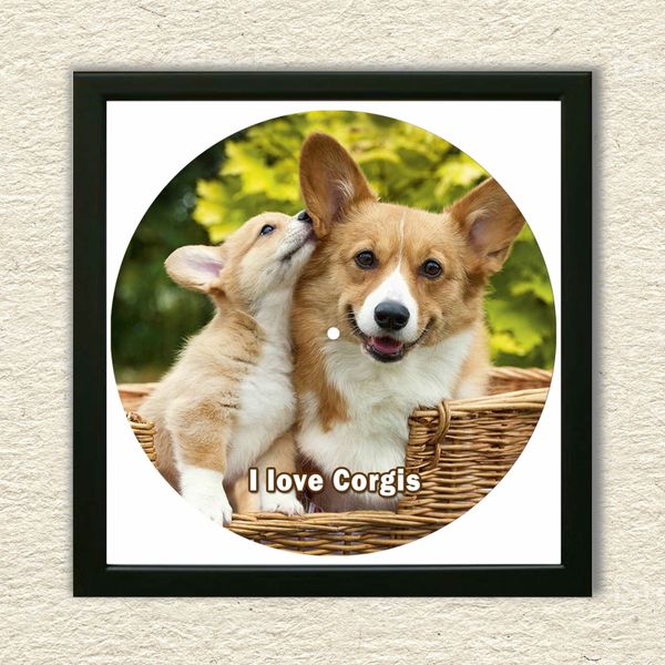 Vinyl Record Decor in a Wooden Frame Corgis 14" UF-Frame-Corgis-1 photo