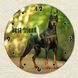 Wall Vinyl Record Clock Doberman 12" 47-2-1 photo 3