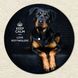 Vinyl Record Decor Rottweilers 12" UF-Decor-Rottweilers-1 photo 3