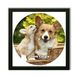 Vinyl Record Decor in a Wooden Frame Corgis 14" UF-Frame-Corgis-1 photo 1