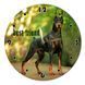 Wall Vinyl Record Clock Doberman 12" 47-2-1 photo 1