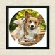 Vinyl Record Decor in a Wooden Frame Corgis 14" UF-Frame-Corgis-1 photo 3