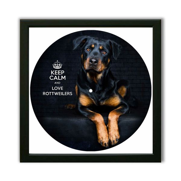 Vinyl Record Decor in a Wooden Frame Rottweilers 14" UF-Frame-Rottweilers-1 photo