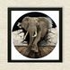 Vinyl Record Decor in a Wooden Frame Elephant 14" UF-Frame-Elephant-2 photo 3