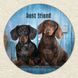 Vinyl Record Decor Dachshunds 12" UF-Decor-Dachshunds-1 photo 3