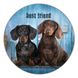 Vinyl Record Decor Dachshunds 12" UF-Decor-Dachshunds-1 photo 1