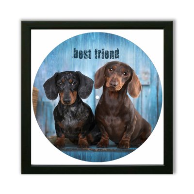 Vinyl Record Decor in a Wooden Frame Dachshunds 14" UF-Frame-Dachshunds-1 photo