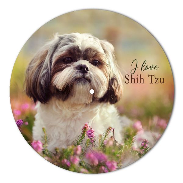 Vinyl Record Decor Shih Tzu-UF-1 12" UF-Decor-Shih Tzu-UF-1-1 photo