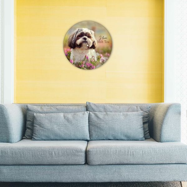 Vinyl Record Decor Shih Tzu-UF-1 12" UF-Decor-Shih Tzu-UF-1-1 photo