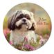 Vinyl Record Decor Shih Tzu-UF-1 12" UF-Decor-Shih Tzu-UF-1-1 photo 1