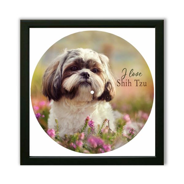 Vinyl Record Decor in a Wooden Frame Shih Tzu-UF-1 14" UF-Frame-Shih Tzu-UF-1-1 photo