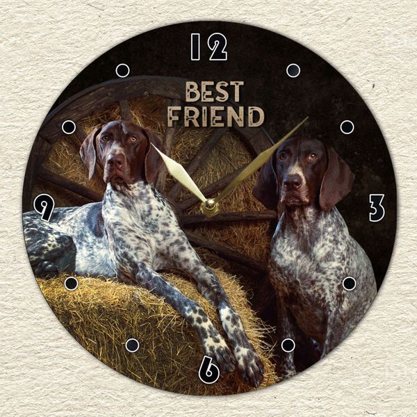 Wall Vinyl Record Clock German Pointer 12" 50-2-1 photo