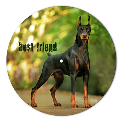 Vinyl Record Decor Doberman 12" UF-Decor-Doberman-1 photo