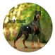 Vinyl Record Decor Doberman 12" UF-Decor-Doberman-1 photo 1