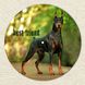 Vinyl Record Decor Doberman 12" UF-Decor-Doberman-1 photo 3