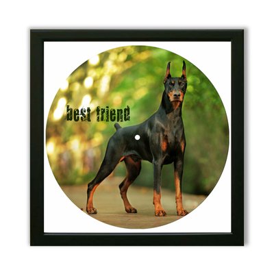 Vinyl Record Decor in a Wooden Frame Doberman 14" UF-Frame-Doberman-1 photo