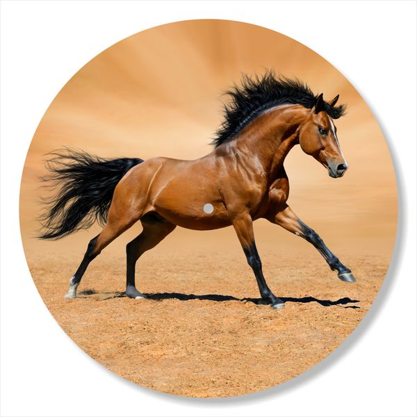 Vinyl Record Decor Horse 12" UF-Decor-Horse-1 photo