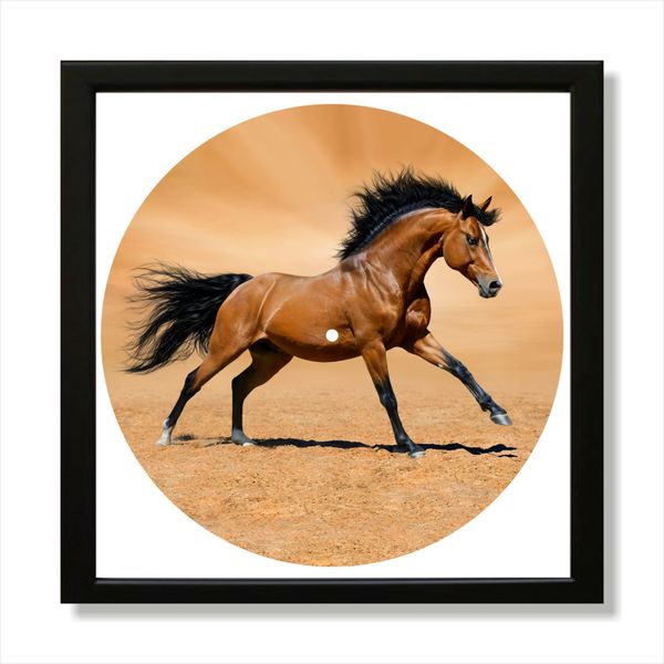 Vinyl Record Decor in a Wooden Frame Horse 14" UF-Frame-Horse-1 photo