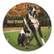 Wall Vinyl Record Clock Great Danes 12" UF-Clock-Great Danes-1 photo 1