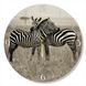 Wall Vinyl Record Clock Zebra 12" UF-Clock-Zebra-1 photo 1