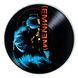 Vinyl Record Decor Eminem 12" 528-3-1 photo 1