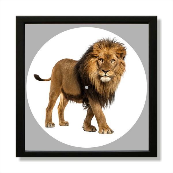 Vinyl Record Decor in a Wooden Frame Lion 14" UF-Frame-Lion-1 photo