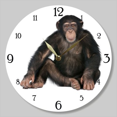 Wall Vinyl Record Clock Monkey 12" UF-Clock-Monkey-1 photo