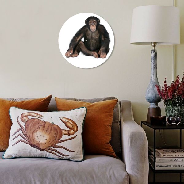 Vinyl Record Decor Monkey 12" UF-Decor-Monkey-1 photo