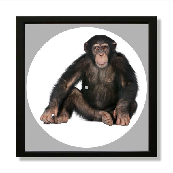 Vinyl Record Decor in a Wooden Frame Monkey 14" UF-Frame-Monkey-1 photo