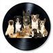 Vinyl Record Decor Dogs 12" UF-Decor-Dogs-2 photo