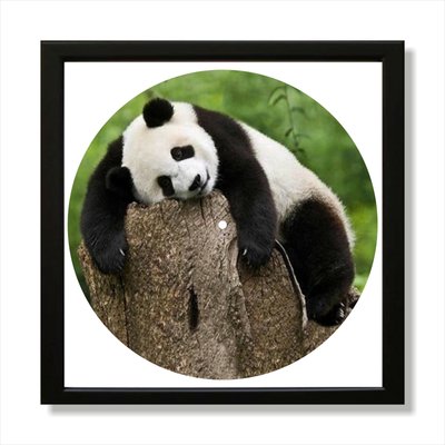 Vinyl Record Decor in a Wooden Frame Panda 14" UF-Frame-Panda-1 photo