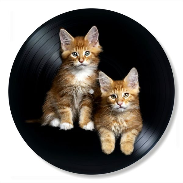 Vinyl Record Decor Cat 12" UF-Decor-Cat-2 photo