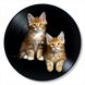 Vinyl Record Decor Cat 12" UF-Decor-Cat-2 photo 1