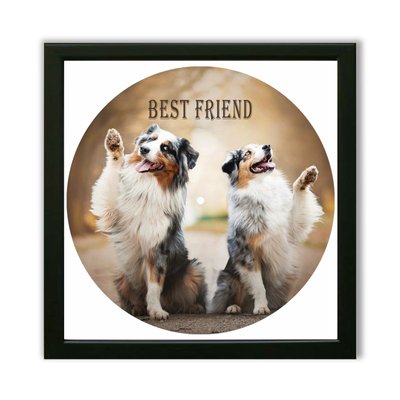 Vinyl Record Decor in a Wooden Frame Australian Shepherds 14" UF-Frame-Australian Shepherds-1 photo