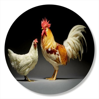 Vinyl Record Decor Chickens 12" UF-Decor-Chickens-1 photo