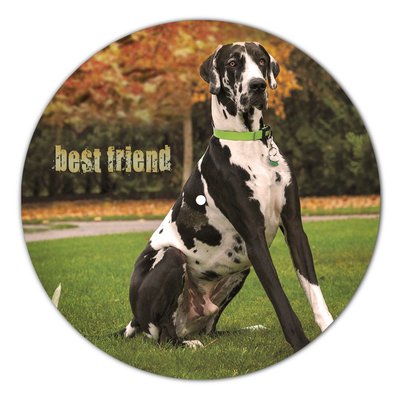 Vinyl Record Decor Great Danes 12" UF-Decor-Great Danes-1 photo