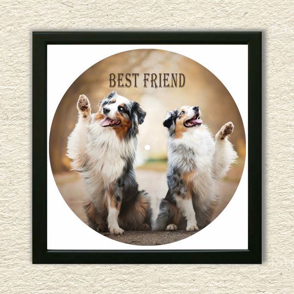 Vinyl Record Decor in a Wooden Frame Australian Shepherds 14" UF-Frame-Australian Shepherds-1 photo