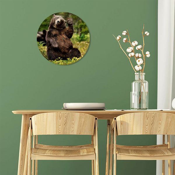 Vinyl Record Decor BEAR 12" 73-3-1 photo