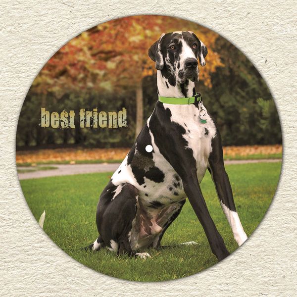 Vinyl Record Decor Great Danes 12" UF-Decor-Great Danes-1 photo