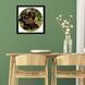 Vinyl Record Decor in a Wooden Frame BEAR 14" 73-4-1 photo 3