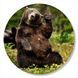 Vinyl Record Decor BEAR 12" 73-3-1 photo 1