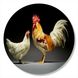 Vinyl Record Decor Chickens 12" UF-Decor-Chickens-1 photo 1