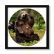 Vinyl Record Decor in a Wooden Frame BEAR 14" 73-4-1 photo 1